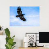 Juvenile Bald Eagle (Flug) Poster (Heimbüro)