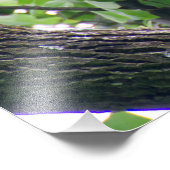 Juvenile Bald Eagle Fotodruck (Ecke)