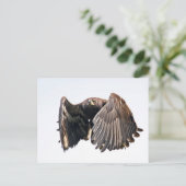 Juvenile Bald Eagle im Flug Postkarte (Stehend Vorderseite)