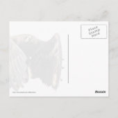 Juvenile Bald Eagle im Flug Postkarte (Rückseite)