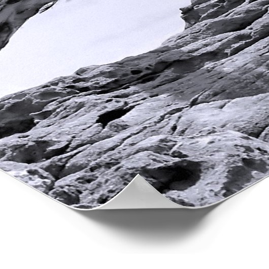 Juvenile Bald Eagle Landing Poster (Ecke)