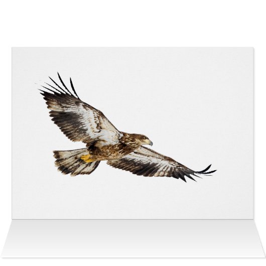 Juvenile Bald Eagle Launch (Innenansicht Horizontal (Oben))