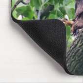 Juvenile Bald Eagle Mousepad (Ecke)