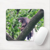 Juvenile Bald Eagle Mousepad (Mit Mouse)