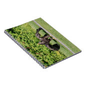 Juvenile Bald Eagle Notizblock (Rechte Seite)