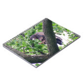 Juvenile Bald Eagle Notizblock (Linke Seite)