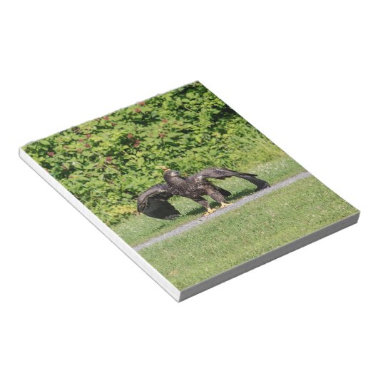 Juvenile Bald Eagle Notizblock (angewinkelt)
