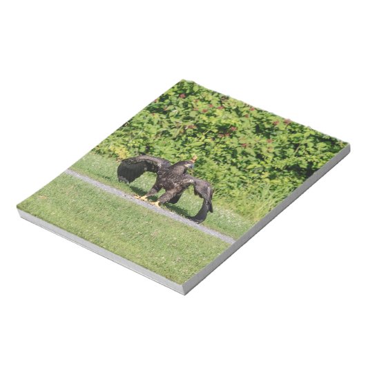 Juvenile Bald Eagle Notizblock (Rotiert)