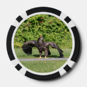 Juvenile Bald Eagle Pokerchips (Rückseite)