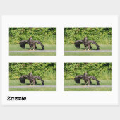 Juvenile Bald Eagle Rechteckiger Aufkleber (Blatt)