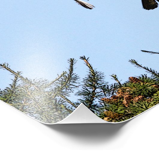 Juvenile Bald Eagle startet Fotodruck (Ecke)