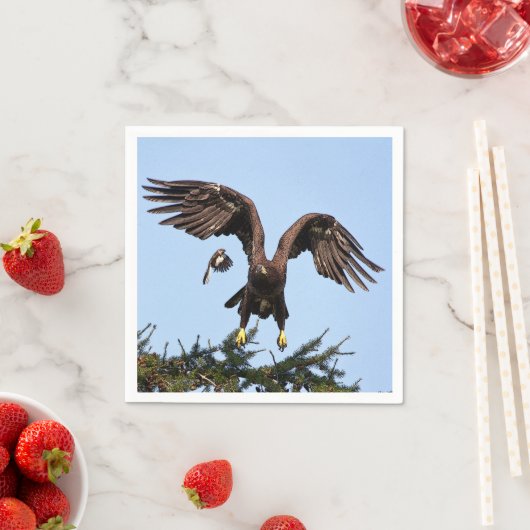 Juvenile Bald Eagle startet Serviette (Beispiel)