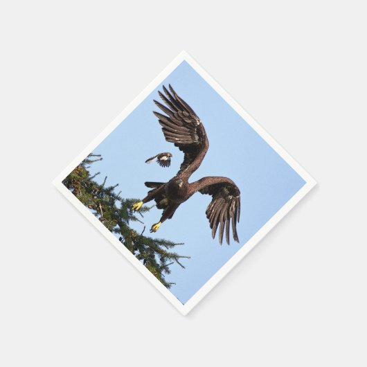 Juvenile Bald Eagle startet Serviette (Ecke)