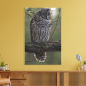 Juvenile Barred Owl (Strix varia) 2 Leinwanddruck (Insitu (Wohnzimmer))
