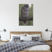 Juvenile Barred Owl (Strix varia) 2 Leinwanddruck (Insitu (Schlafzimmer))