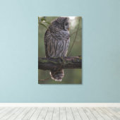 Juvenile Barred Owl (Strix varia) 2 Leinwanddruck (Insitu (Holzboden))