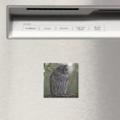 Juvenile Barred Owl (Strix varia) 2 Magnet (In Situ (Geschirrspüler))