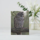 Juvenile Barred Owl (Strix varia) 2 Postkarte (Stehend Vorderseite)
