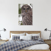 Juvenile Barred Owl (Strix varia) Leinwanddruck (Insitu (Schlafzimmer))