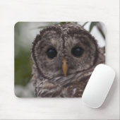 Juvenile Barred Owl (Strix varia) Mousepad (Mit Mouse)