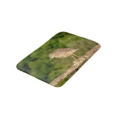 Juvenile Black Crowned Night Heron Badematte (Schrägansicht)