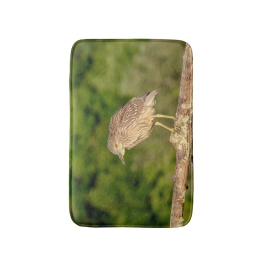 Juvenile Black Crowned Night Heron Badematte (Vorderseite Vertikal)