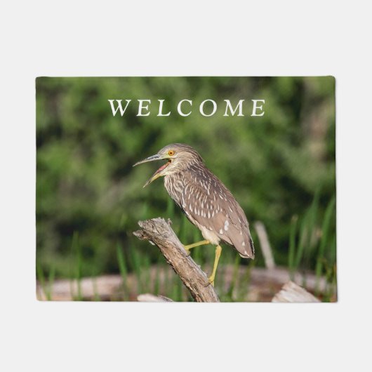 Juvenile Black Crowned Night Heron Fußmatte (Vorderseite)