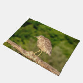 Juvenile Black Crowned Night Heron Fußmatte (Schrägansicht)