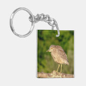 Juvenile Black Crowned Night Heron Schlüsselanhänger (Vorderseite links)