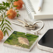Juvenile Black Crowned Night Heron Schlüsselanhänger (Vorderseite rechts)