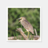 Juvenile Black Crowned Night Heron Serviette (Vorderseite)