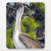 Juvenile Brown Pelican Mousepad (Vorne)