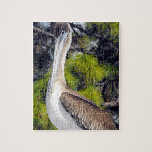 Juvenile Brown Pelican Puzzle (Vertikal)