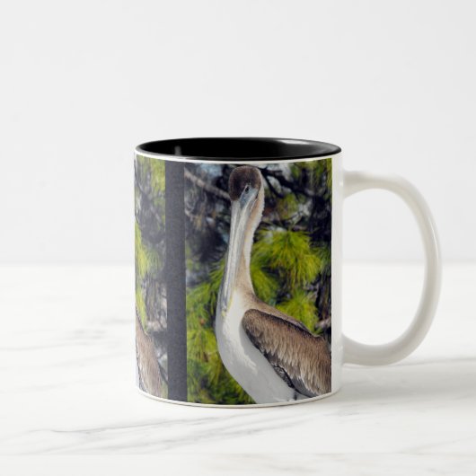 Juvenile Brown Pelican Zweifarbige Tasse (Rechts)