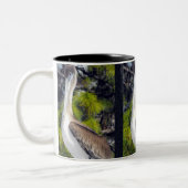Juvenile Brown Pelican Zweifarbige Tasse (Links)