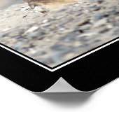 Juvenile Burrowing Owl Poster (Ecke)