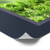 Juvenile Gelbe-Kronen-Nachtheron-Poster Poster (Ecke)