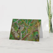Juvenile Goldfinch - Almond Tree Card Karte (Vorderseite)