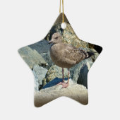 Juvenile Great Black Backed Gull Keramikornament (Rechts)