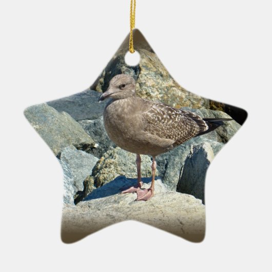 Juvenile Great Black Backed Gull Keramikornament (Vorne)
