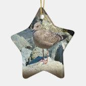Juvenile Great Black Backed Gull Keramikornament (Links)