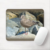 Juvenile Great Black Backed Gull Mousepad (Mit Mouse)
