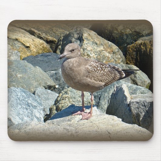 Juvenile Great Black Backed Gull Mousepad (Vorne)