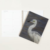 Juvenile Heron 2024 Planer (Anzeige)