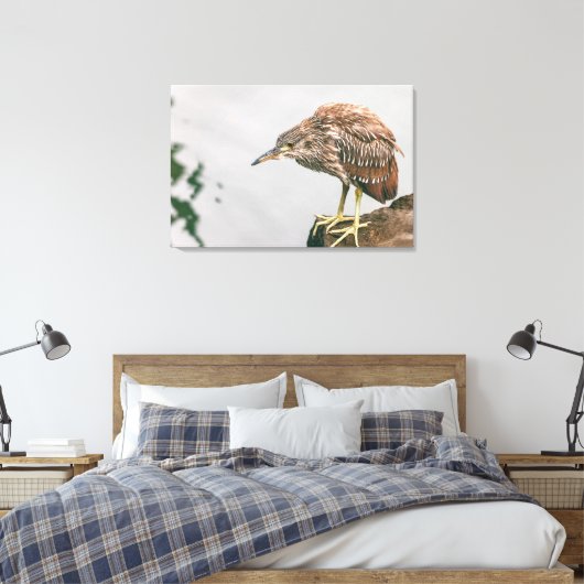 Juvenile Heron Leinwanddruck (Insitu (Schlafzimmer))