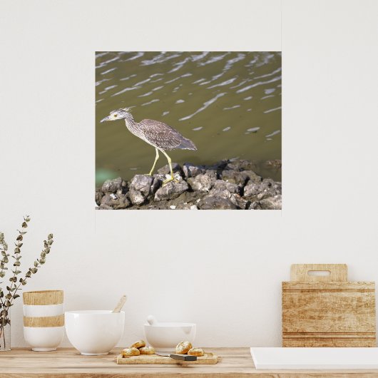 Juvenile Heron Poster (Küche)