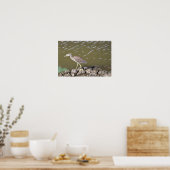 Juvenile Heron Poster (Küche)