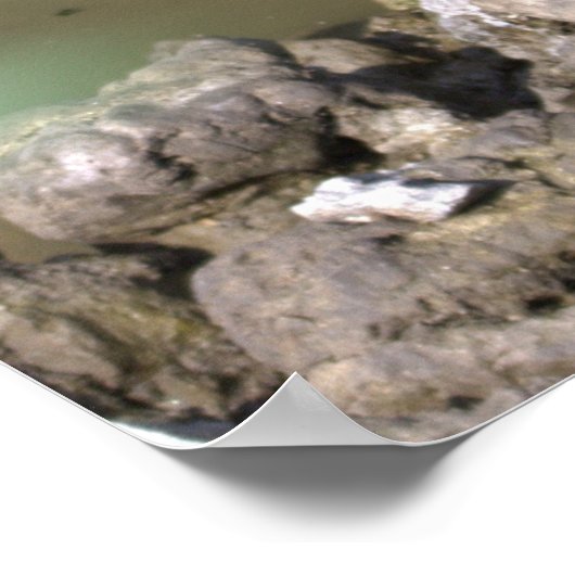 Juvenile Heron Poster (Ecke)