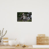 Juvenile Ibis Bird Poster (Küche)