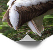 Juvenile Ibis Bird Poster (Ecke)